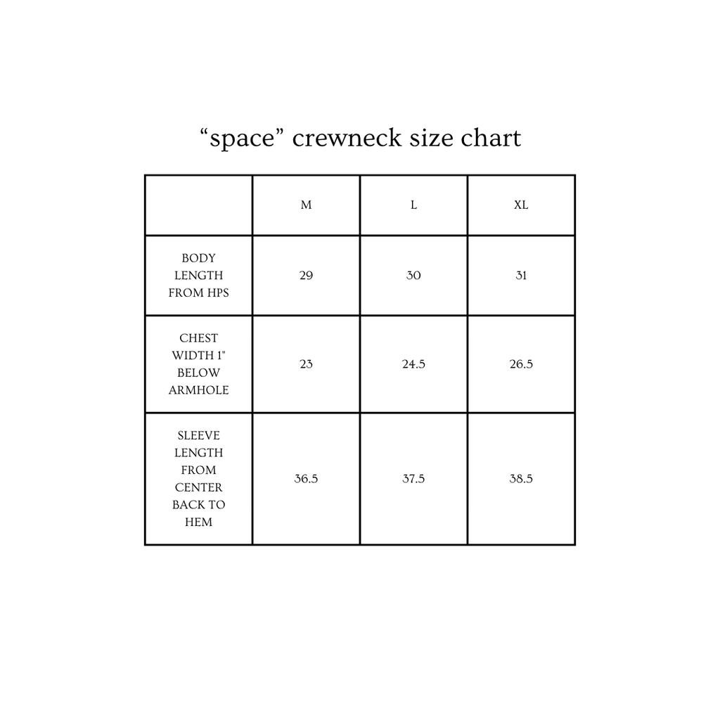 space crewneck